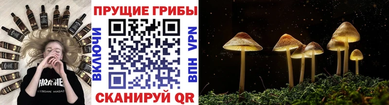 Псилоцибиновые грибы MAGIC MUSHROOMS  Могоча 