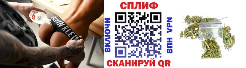 Канабис семена  дарнет шоп  Могоча 